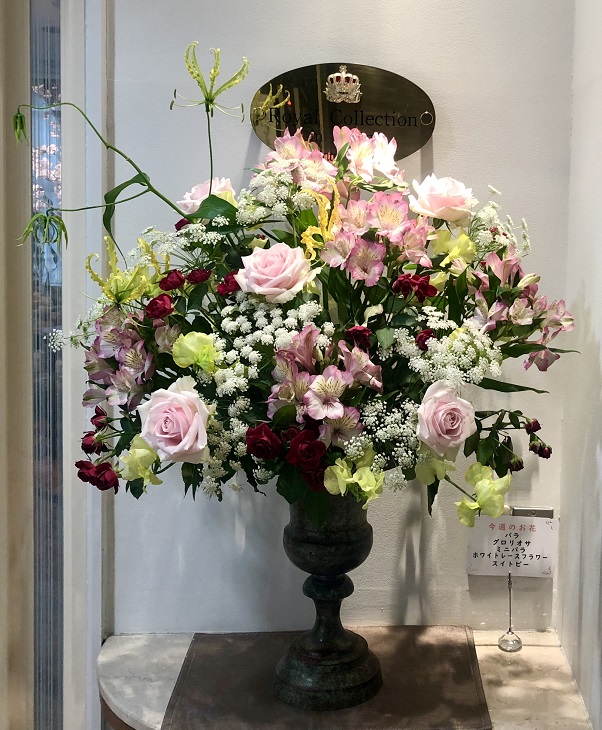 インタージェム今週のお花