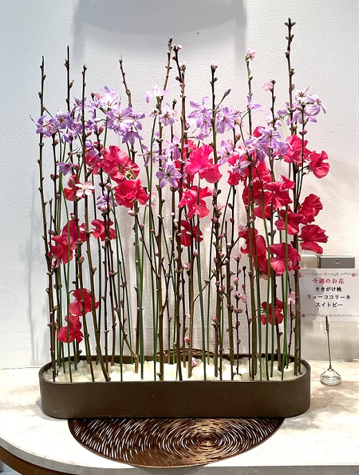 今週のお花 2022 2 21