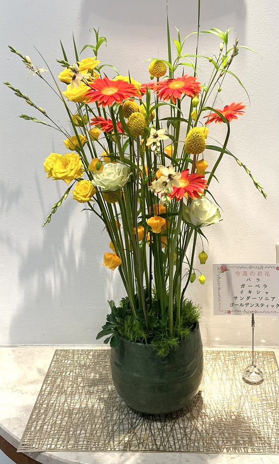 今週のお花 2024.4.15